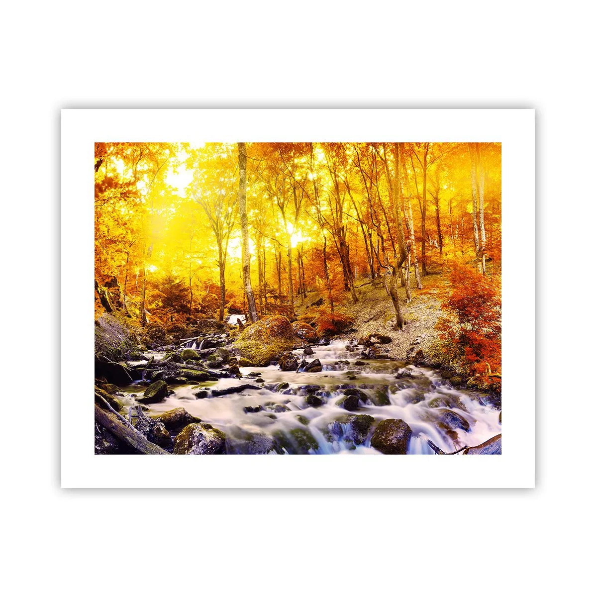 Plagát - Kamene zasadené do zlata a platiny - 50x40 cm