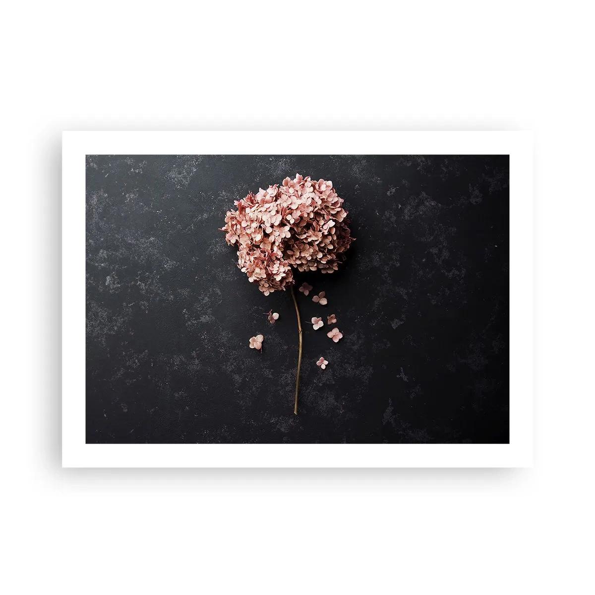 Plagát - Skutočne romantické znamenie - 70x50 cm