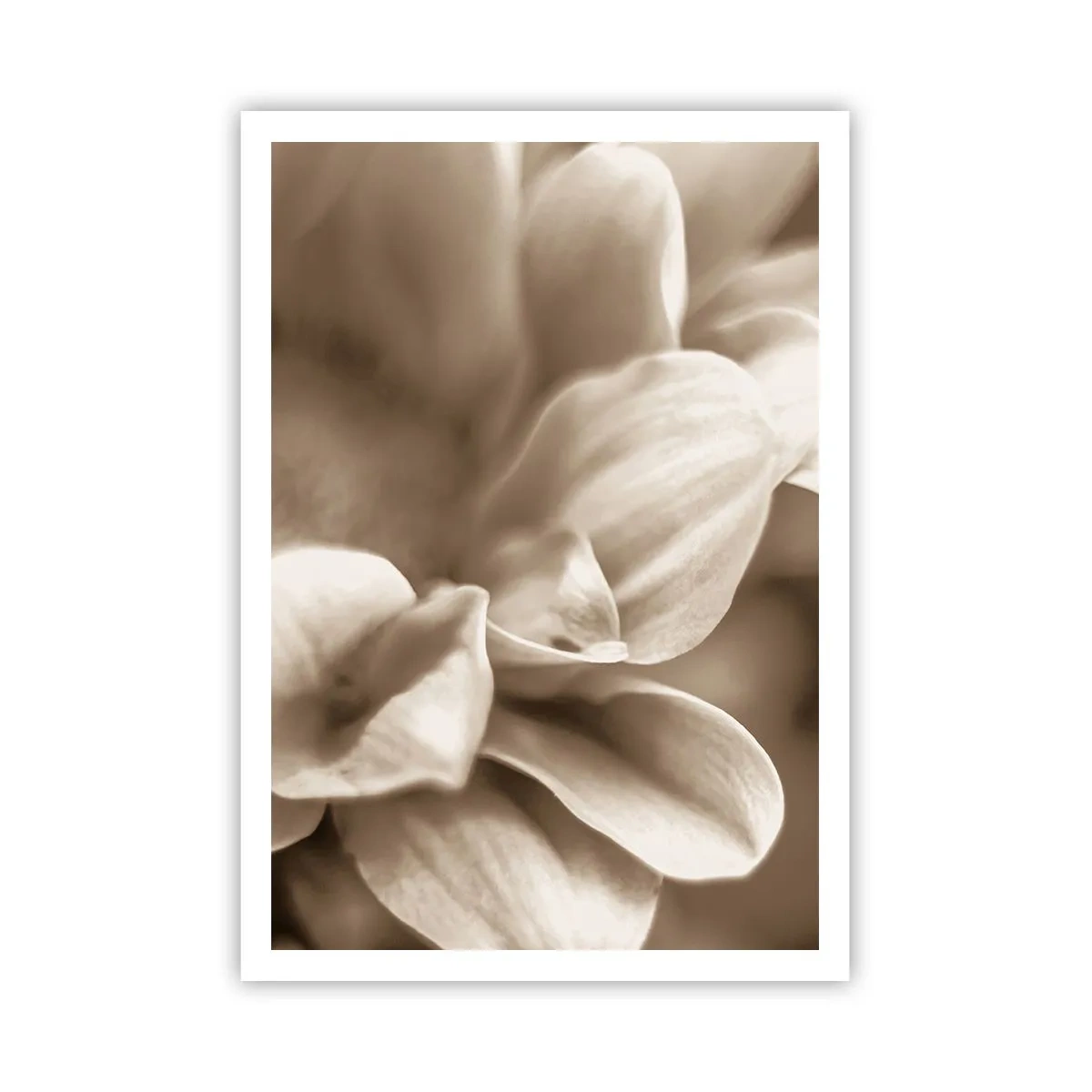 Plagát - Nežné ako úsmev - 70x100 cm