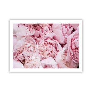 Plagát - Pritúlené a voňavé - 70x50 cm