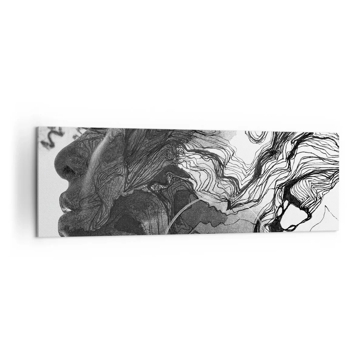 Obraz na plátne - Zapletená v snoch - 160x50 cm