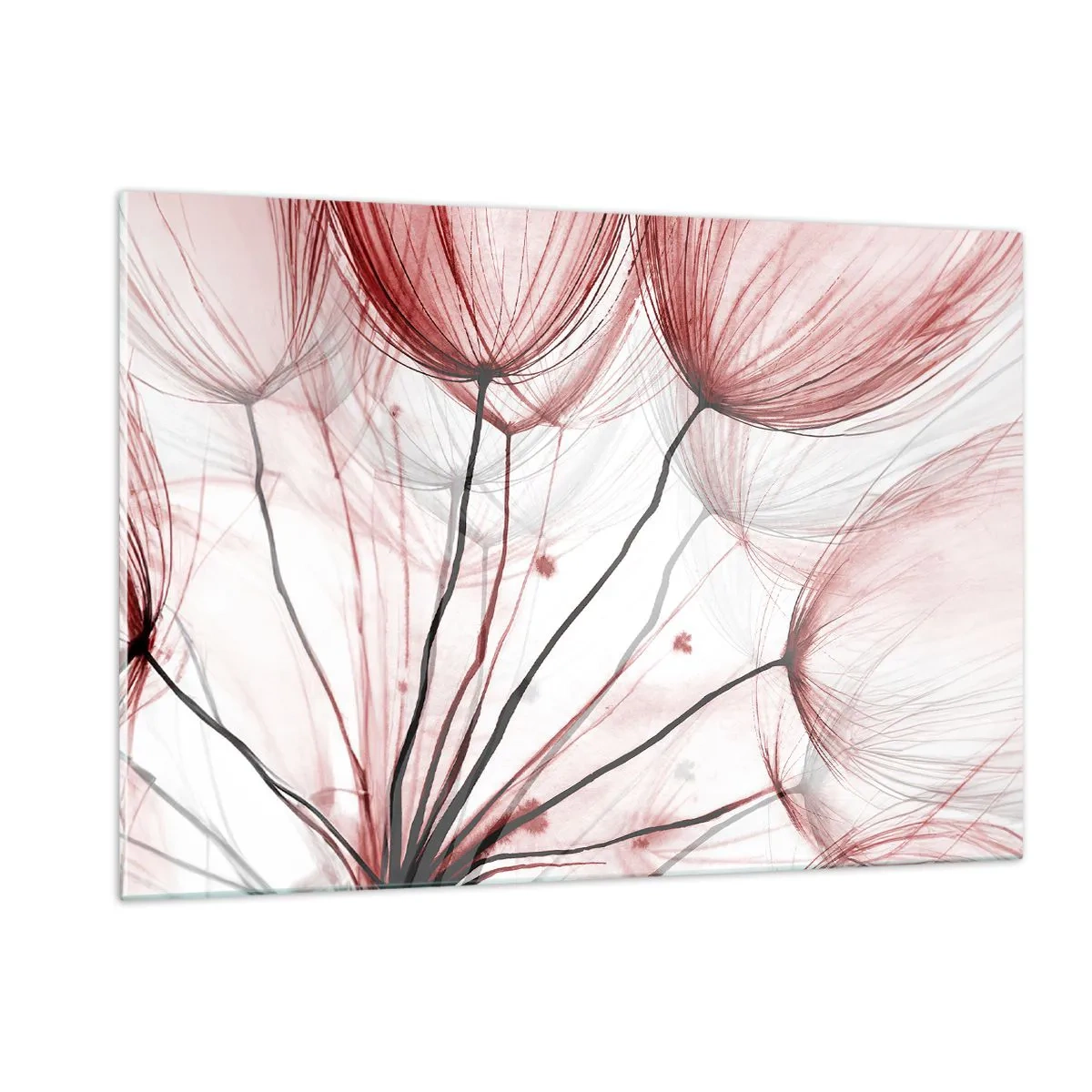 Obraz na skle - Pred odletom - 120x80 cm