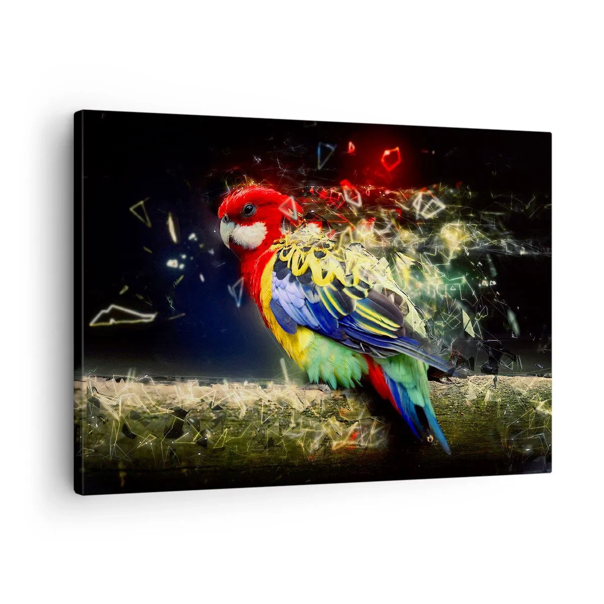 Obraz na plátne - Papagáj v živých farbách na pozadí svetelných efektov - 70x50cm - Posol žiary - Moderná nástenná dekorácia do obývacej izby a spálne ARTTOR