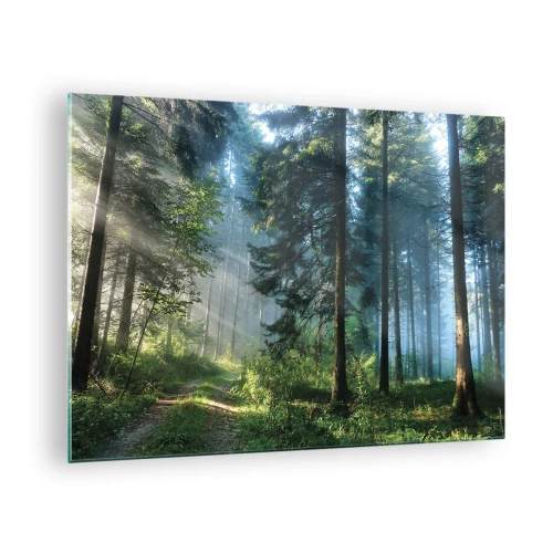 Obraz na skle - Lesný chodník v rannej hmle medzi vysokými stromami - 70x50cm - Žiariaci za úsvitu - Moderná nástenná dekorácia do obývacej izby a spálne ARTTOR