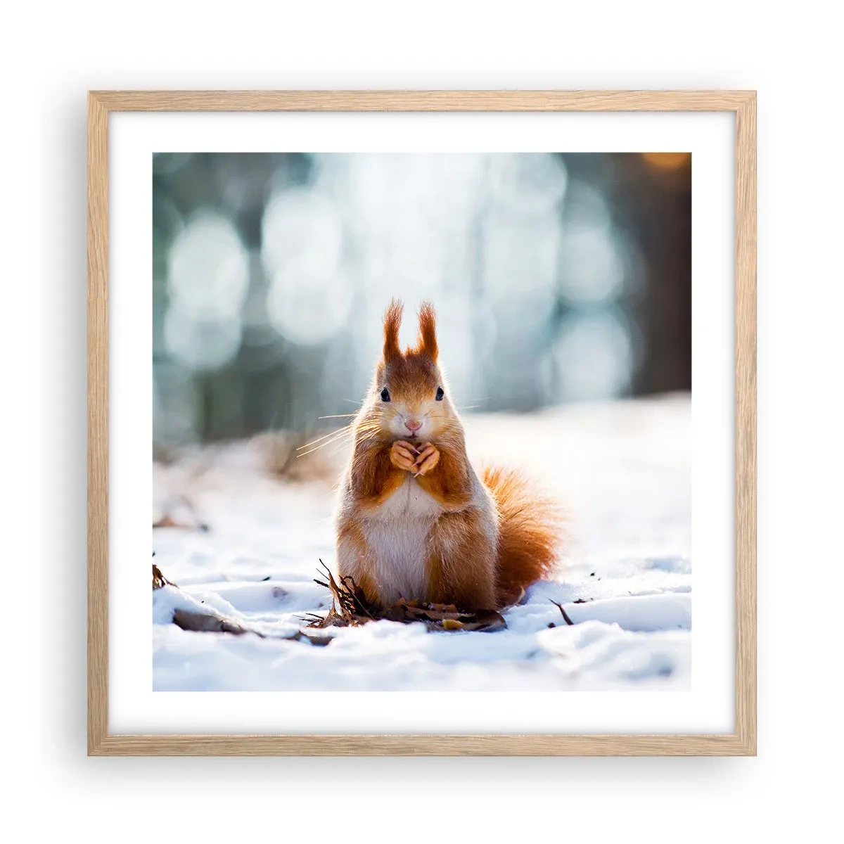 Plagát v ráme zo svetlého duba - Čo sa tak pozeráš? - 50x50 cm