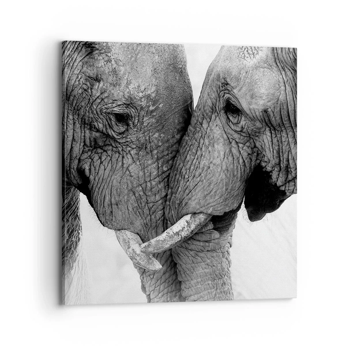 Obraz na plátne - Úprimné vyznanie - 70x70 cm