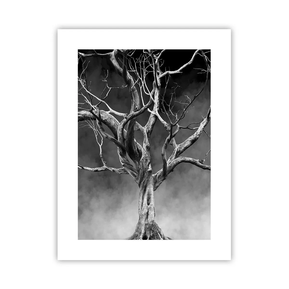 Plagát - Pôvodné a sväté - 30x40 cm