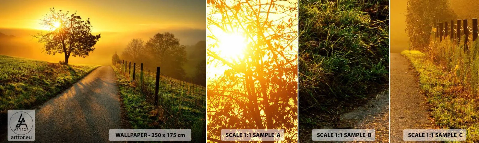 Vzorka Fototapeta Standard Eco - Medové popoludnie - Krajina, Špinavá cesta, Lúka - 100x30 cm