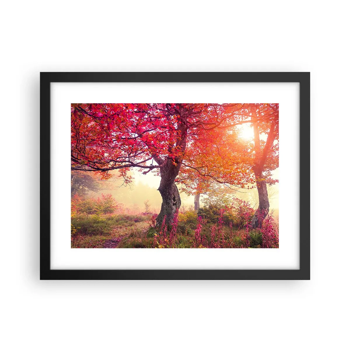 Plagát v čiernom ráme - Šialenstvo rozkvetu - 40x30 cm
