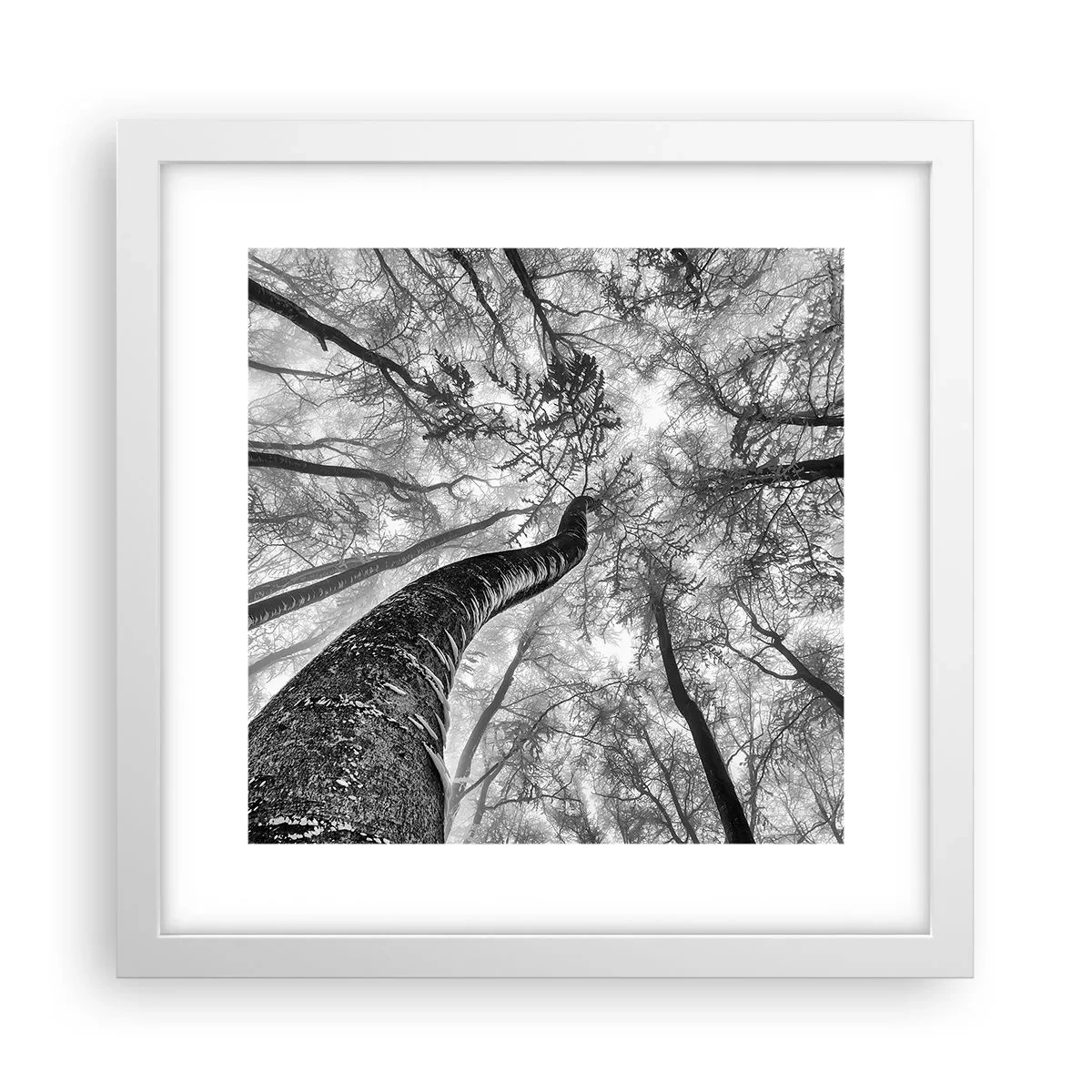 Plagát v bielom ráme - Závod ku svetlu - 30x30 cm