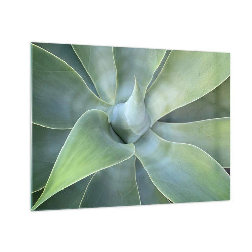 Obraz na skle - Makrofotografia zelenej rastliny so špirálovými listami - 70x50cm - Zrodenie zelene - Moderná nástenná dekorácia do obývacej izby a spálne ARTTOR