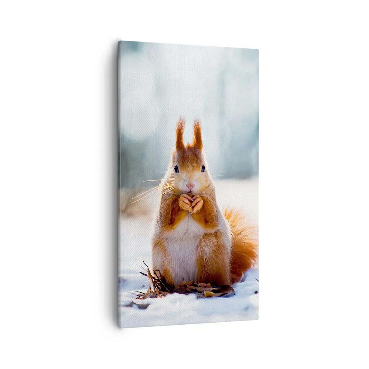 Obraz na plátne - Čo sa tak pozeráš? - 55x100 cm