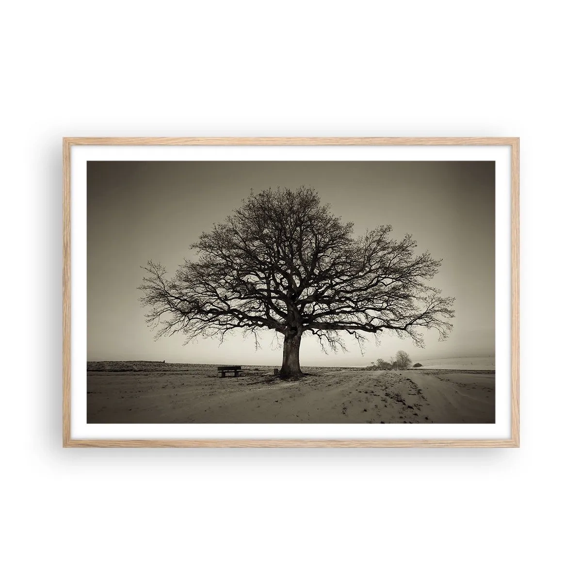 Plagát v ráme zo svetlého duba - Odtiaľ až do večnosti - 91x61 cm