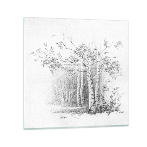 Obraz na skle - Svetlo brezového lesa - 60x60 cm