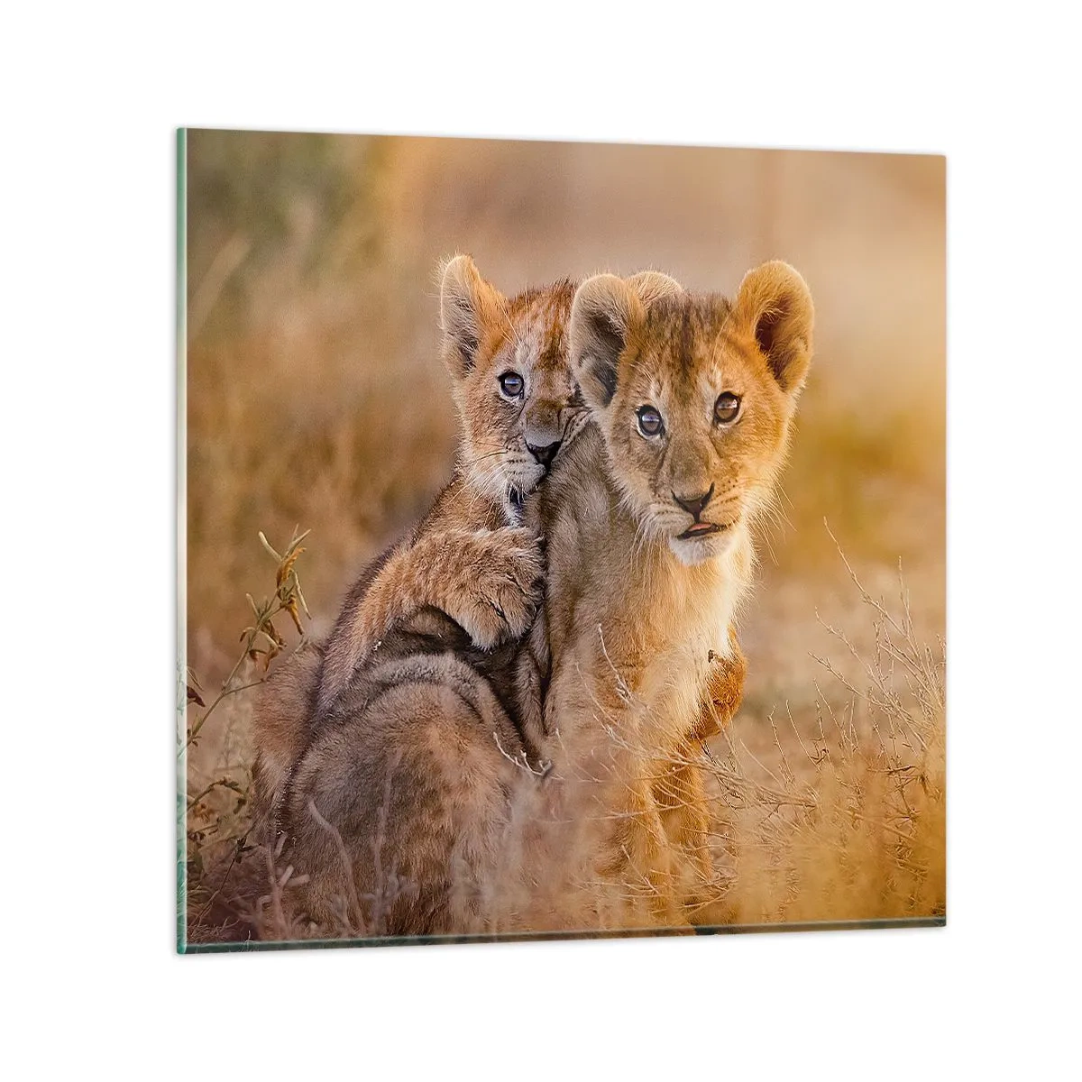 Obraz na skle - Nevyrušovať! Hrajme sa - 60x60 cm