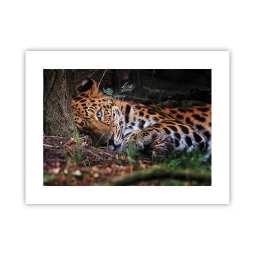 Plagát - Ver mi - 40x30 cm