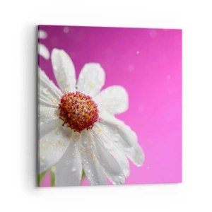 Obraz na plátne - Skromný vo svojej kráse - 70x70 cm