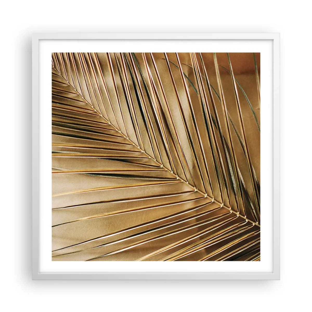 Plagát v bielom ráme - Prírodná kolonáda - 60x60 cm