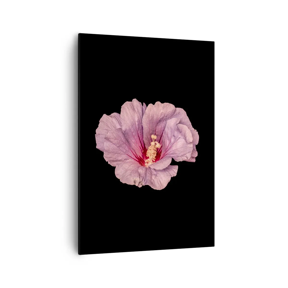 Obraz na plátne - Priamo do srdca - 70x100 cm