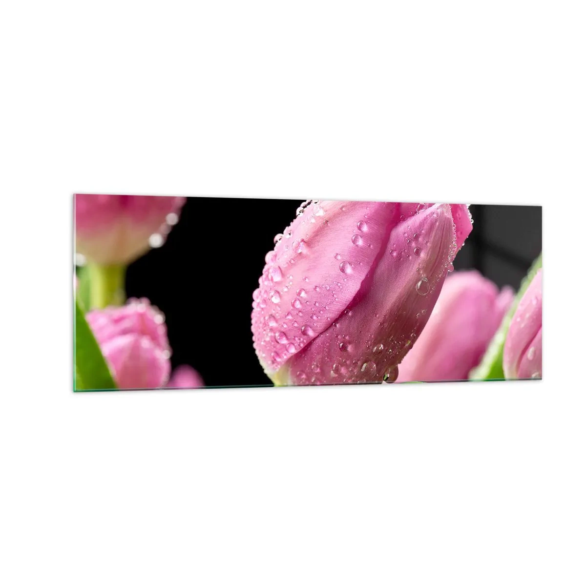 Obraz na skle - Ľaliový sen v rose - 140x50 cm