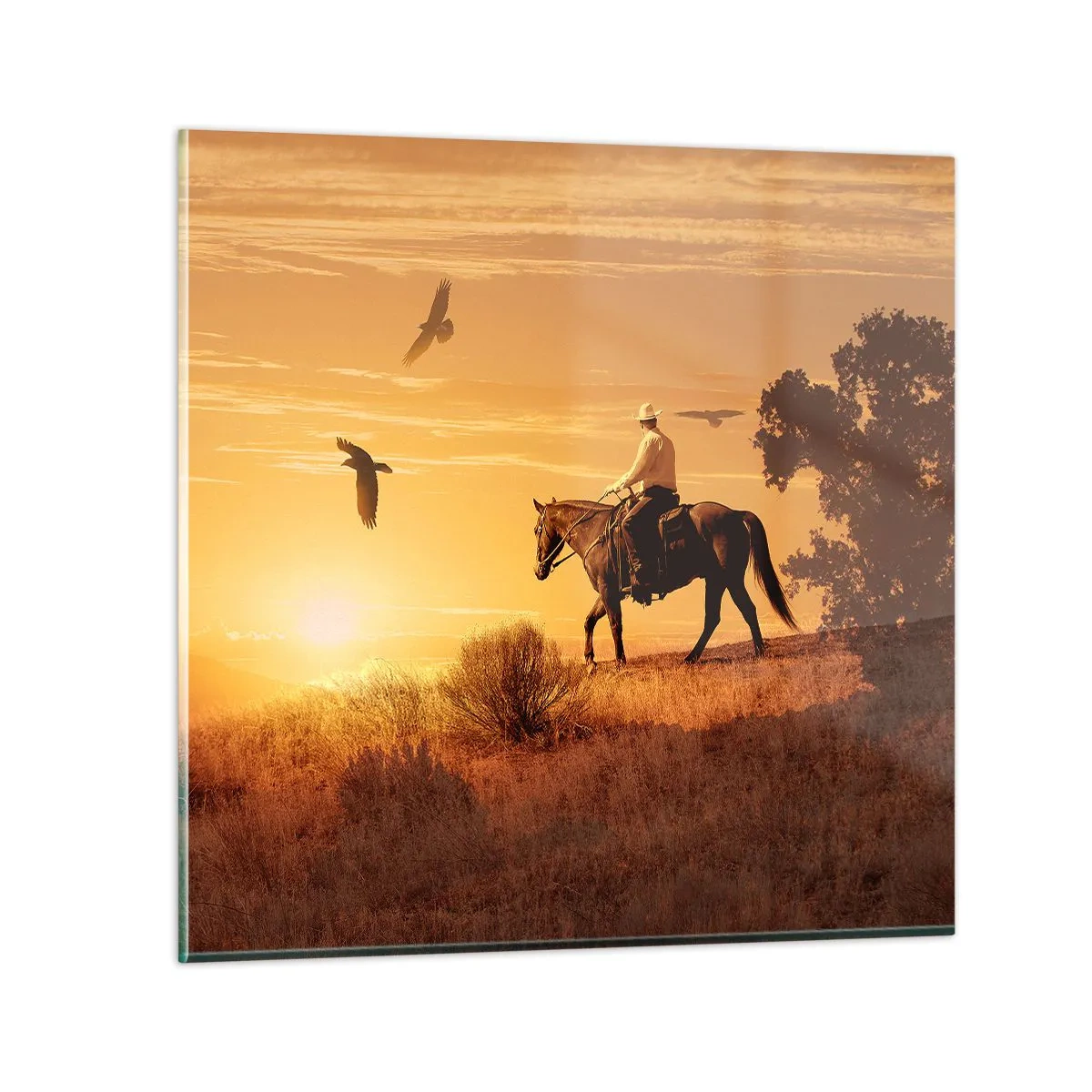 Obraz na skle - Sám cez prériu - 60x60 cm