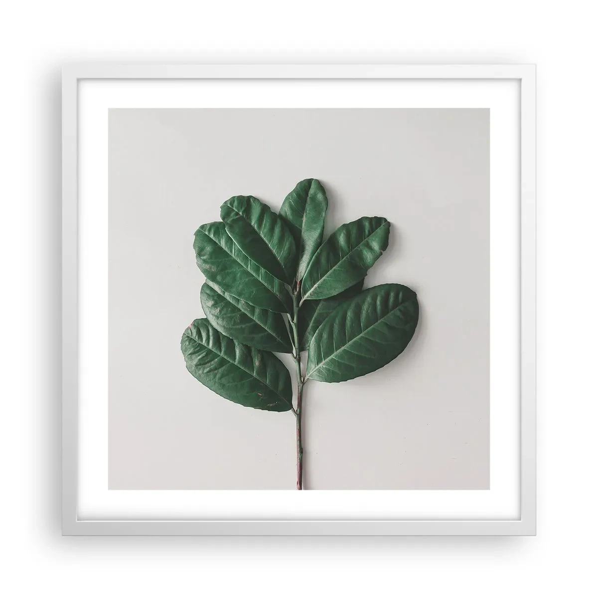 Plagát v bielom ráme - Kresba samotnej prírody - 50x50 cm