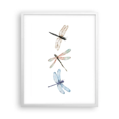 Plagát v bielom ráme - Beztiažové vážky - 40x50 cm