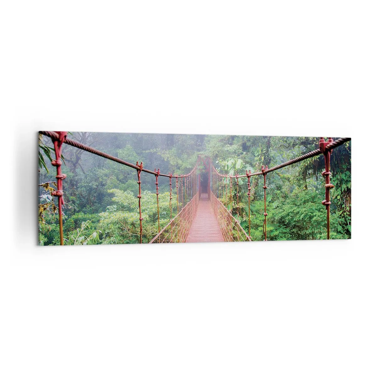 Obraz na plátne - Zavesený nad korunami - 160x50 cm
