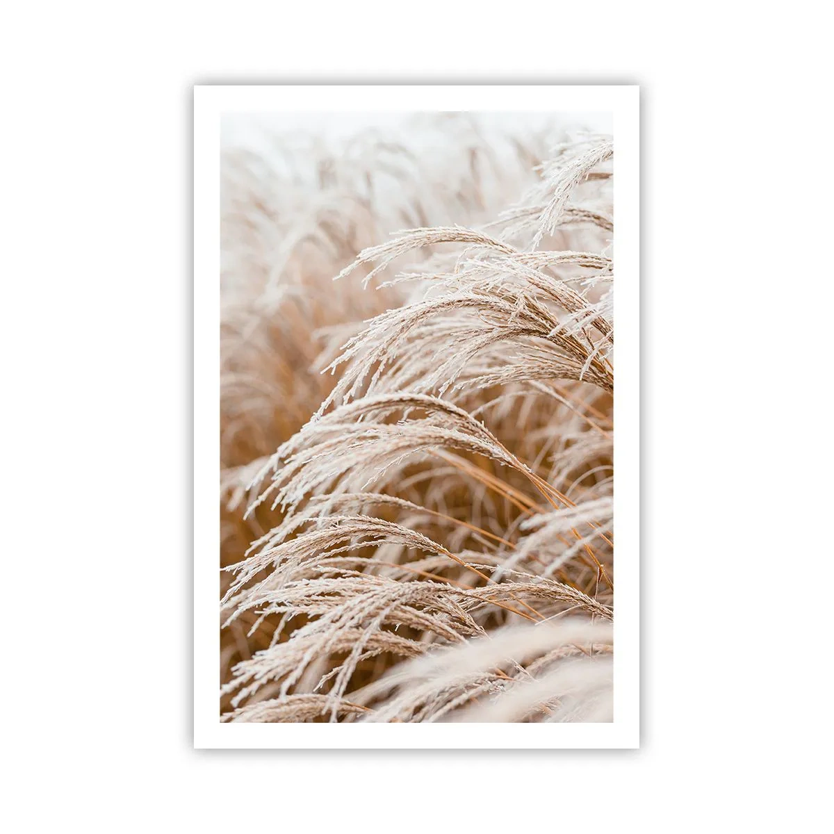 Plagát - Klanenie jesennému slnku - 61x91 cm