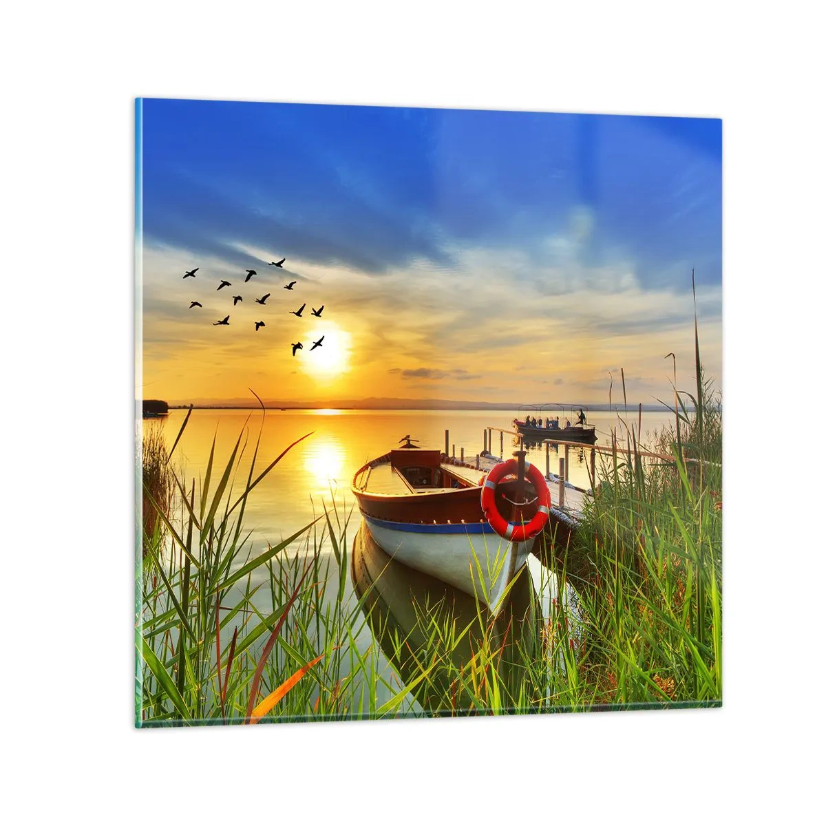 Obraz na skle - Kormorány už odlietajú - 50x50 cm