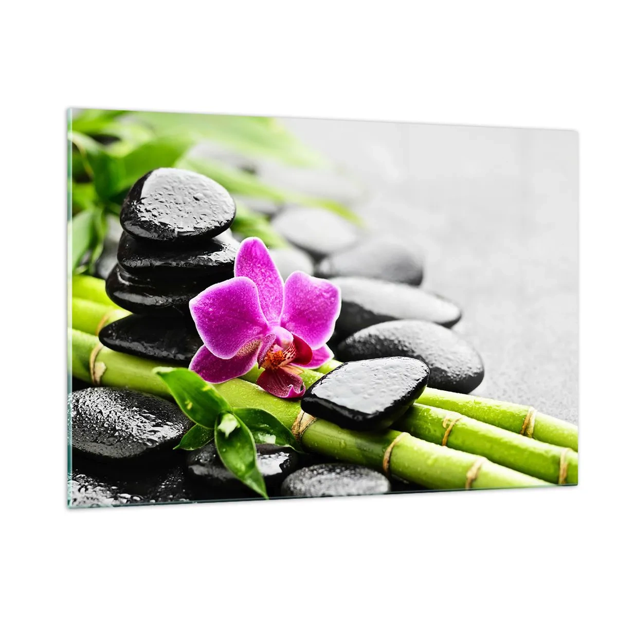 Obraz na skle - V pokojnej rovnováhe - 120x80 cm