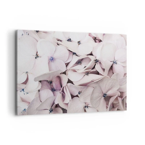 Obraz na plátne - V záplave kvetov - 100x70 cm