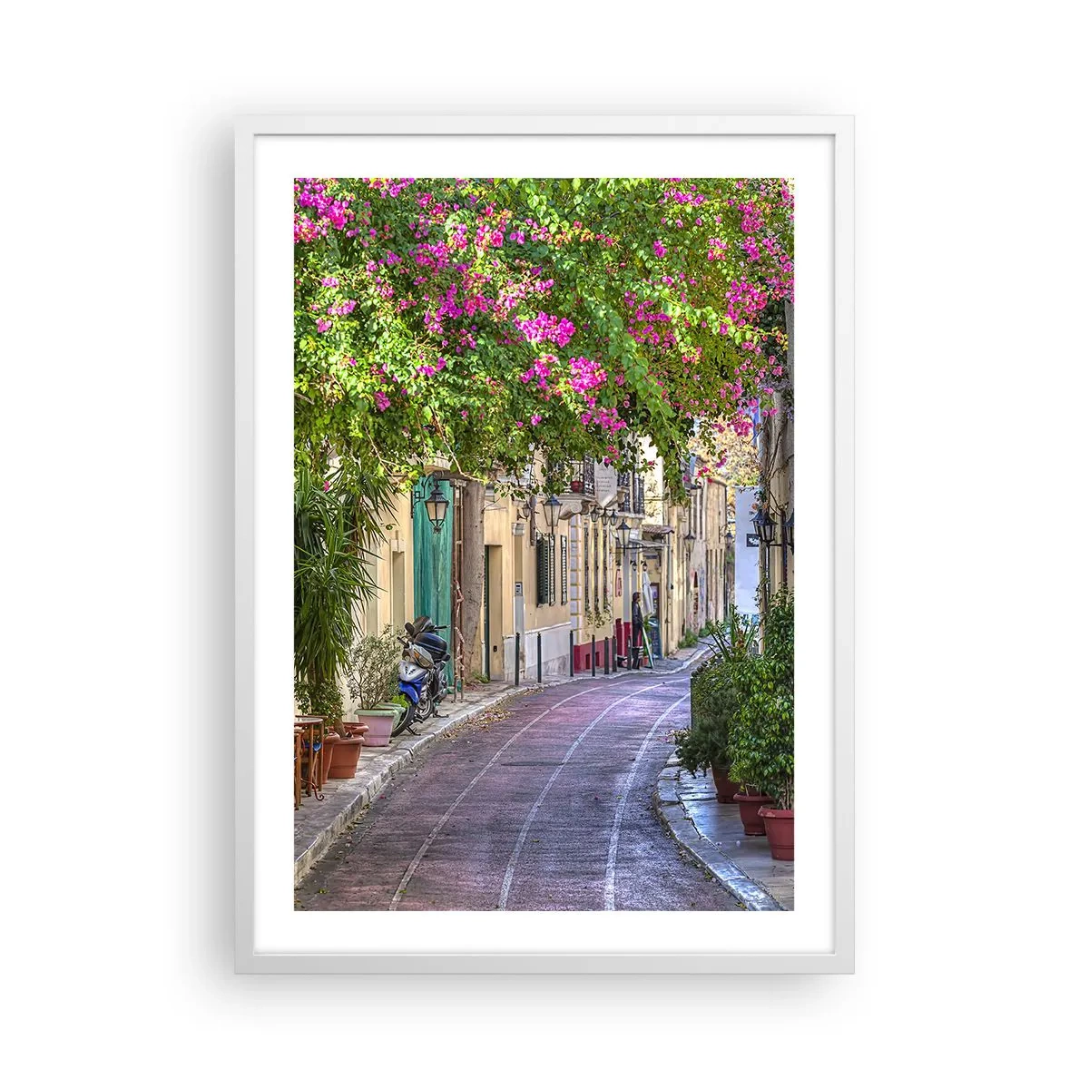 Plagát v bielom ráme - Kvitnúce zákutie - 50x70 cm