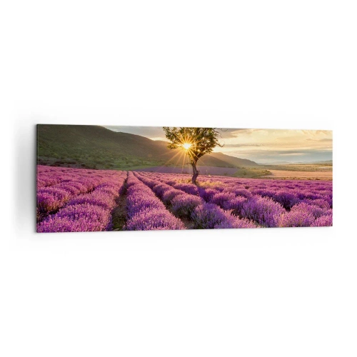 Obraz na plátne - Aróma vo fialovej - 160x50 cm