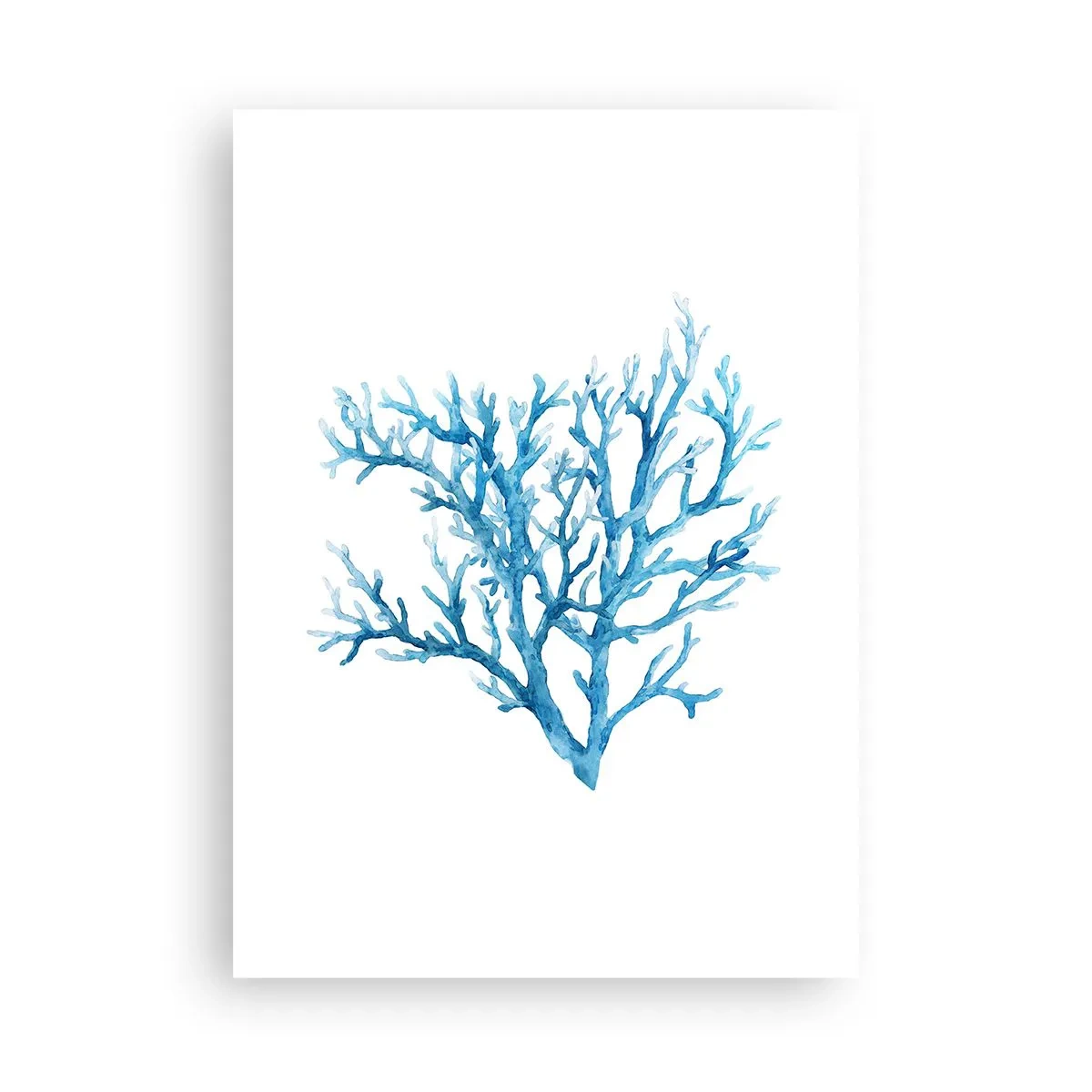 Plagát - Morský filigrán - 50x70 cm