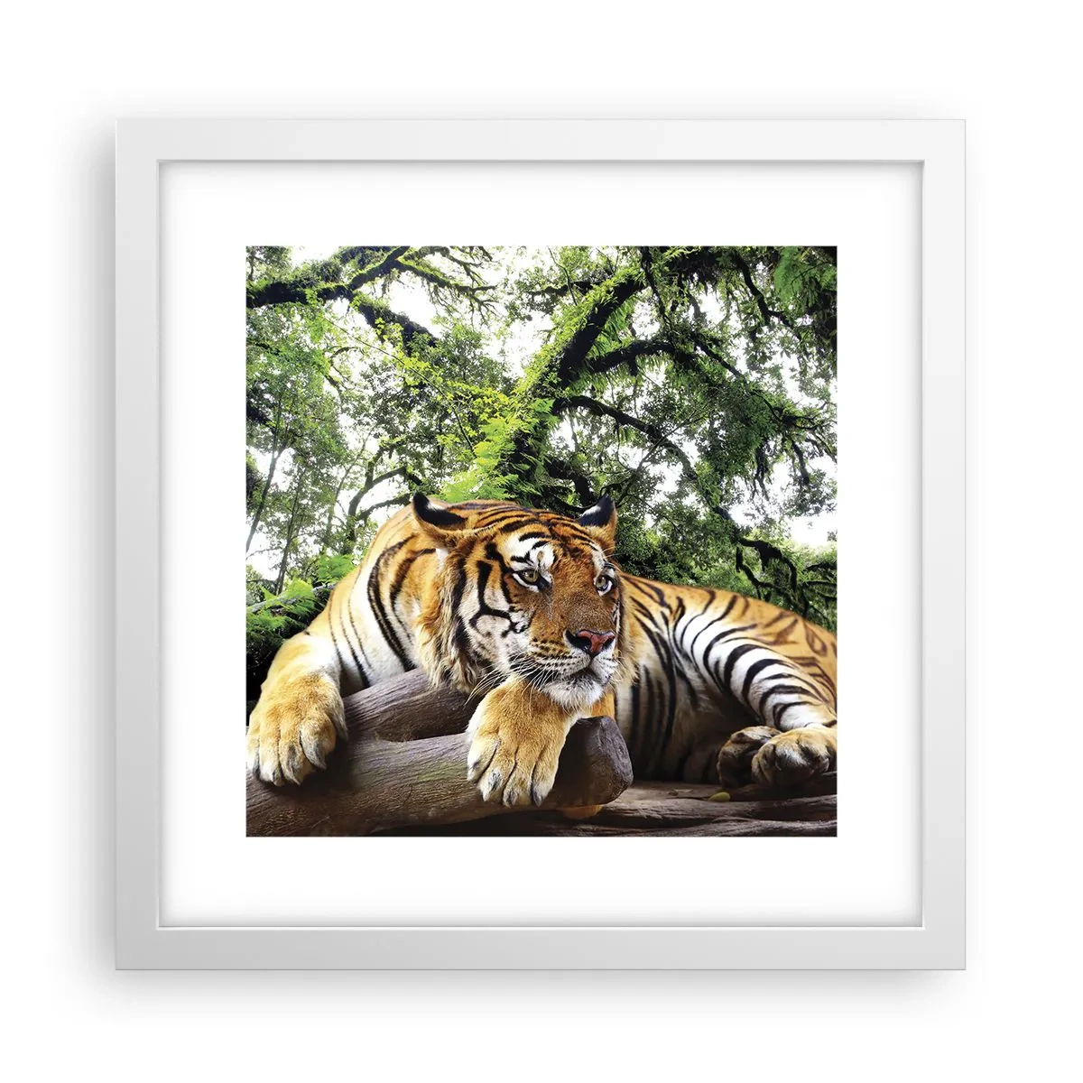 Plagát v bielom ráme - S úctou - 30x30 cm