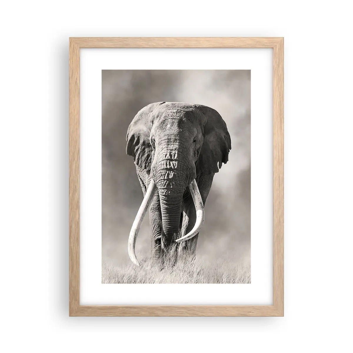 Plagát v ráme zo svetlého duba - Africký patriarcha - 30x40 cm