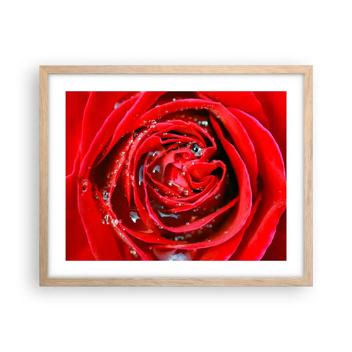 Plagát v ráme zo svetlého duba - V kvapkách rosy - 50x40 cm