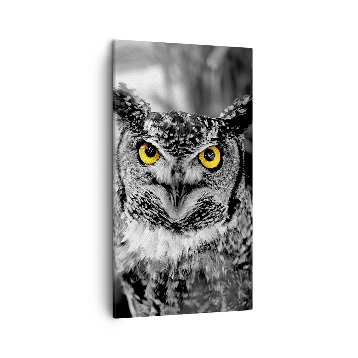 Obraz na plátne - Nič sa neschová - 45x80 cm