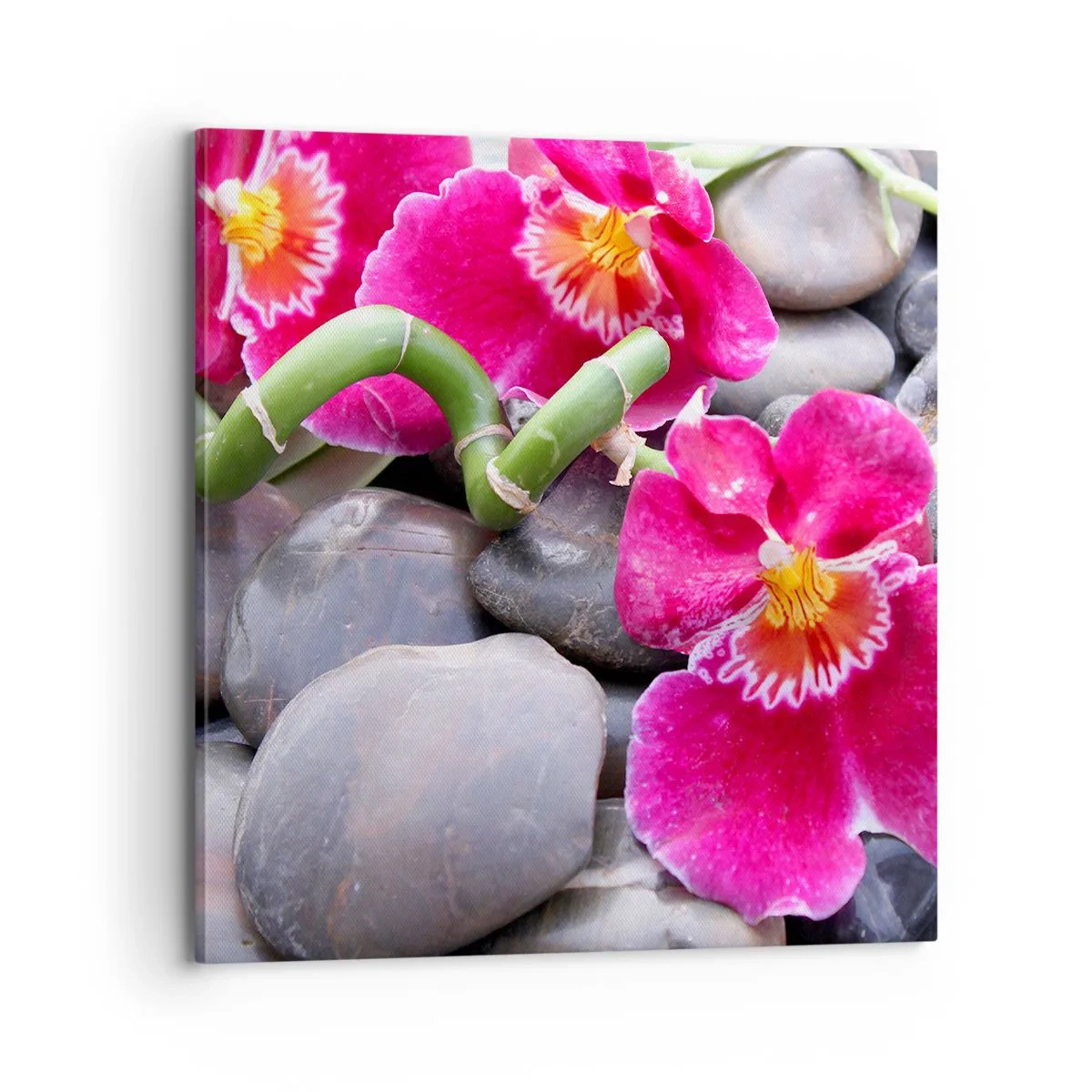 Obraz na plátne - Chlad a žiara - 70x70 cm