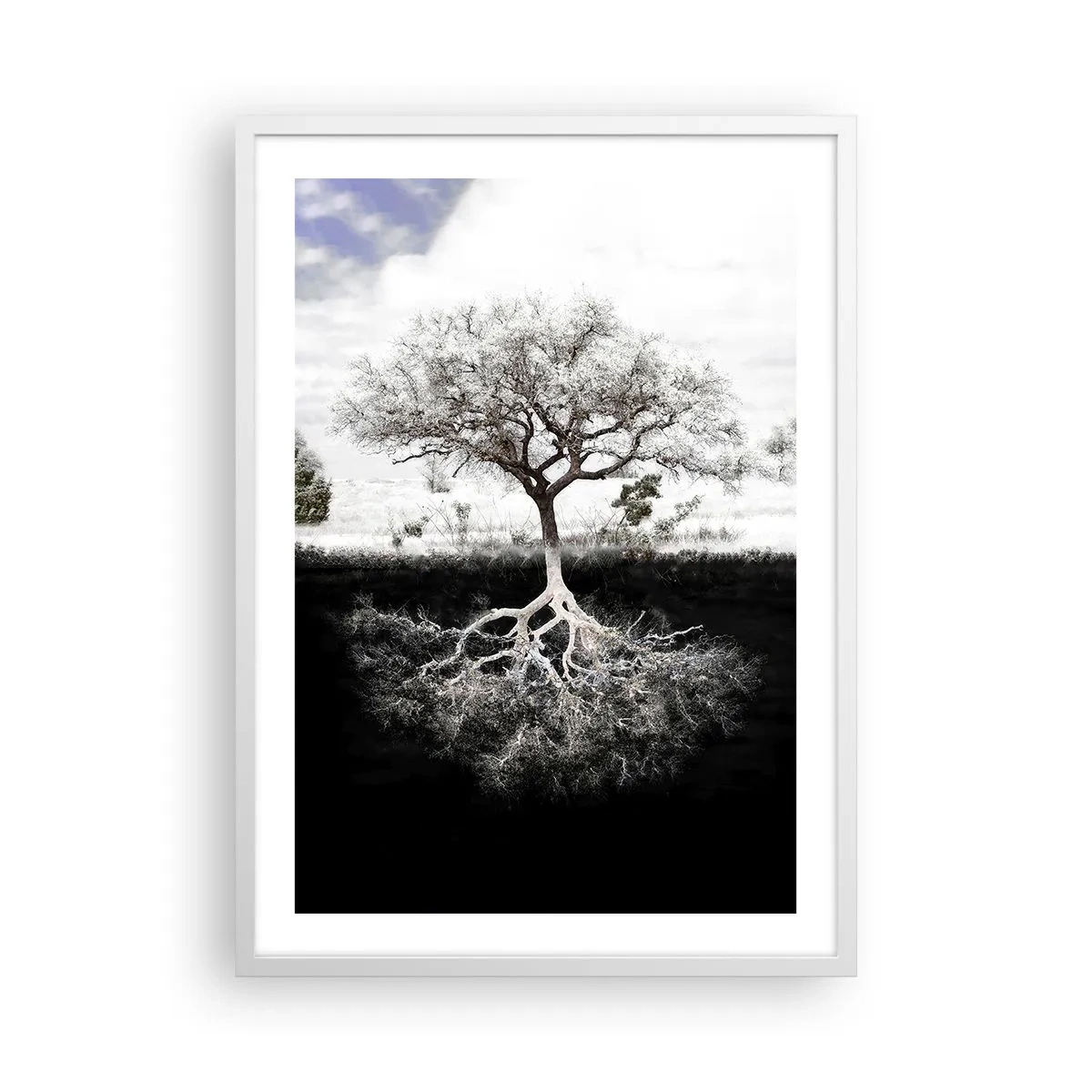 Plagát v bielom ráme - Objavenie podstaty sveta - 50x70 cm