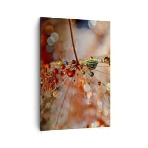 Obraz na plátne - Navlečené na pavučinu - 70x100 cm