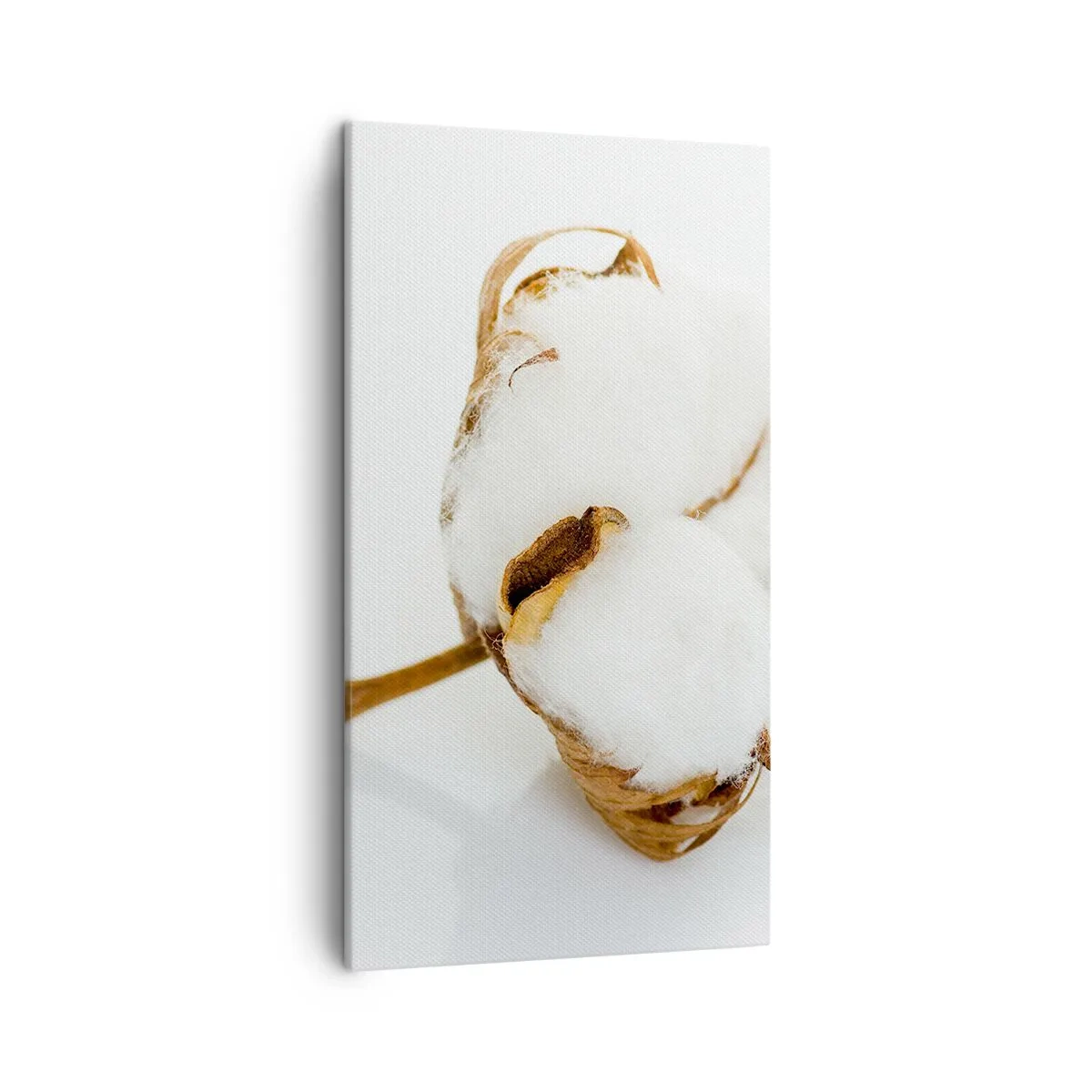 Obraz na plátne - Mäkká od prírody - 45x80 cm