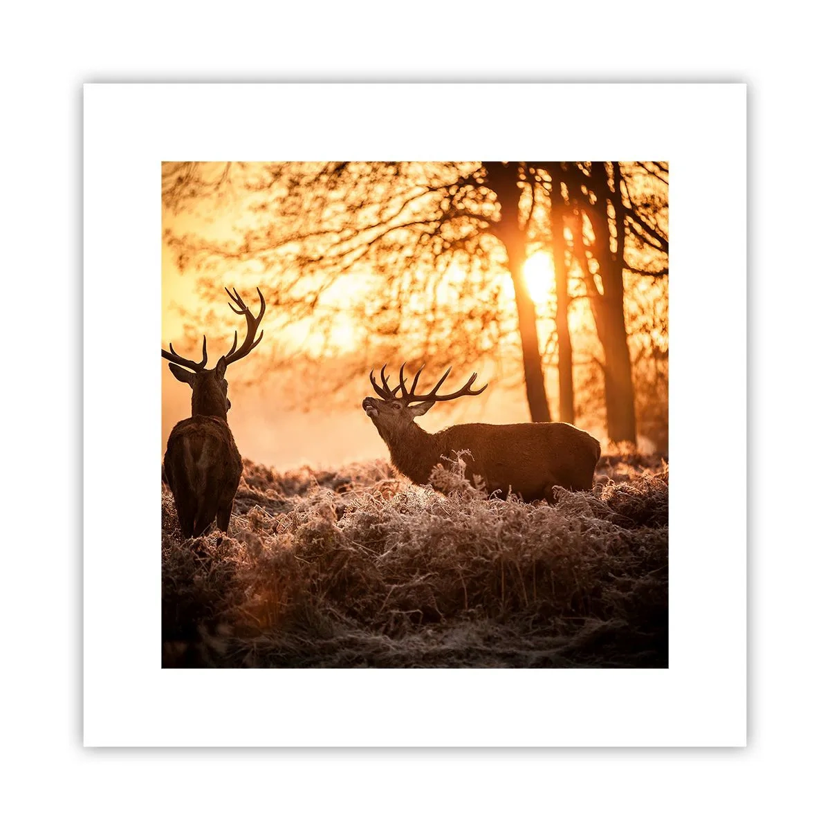 Plagát - Sen poľovníka - 30x30 cm