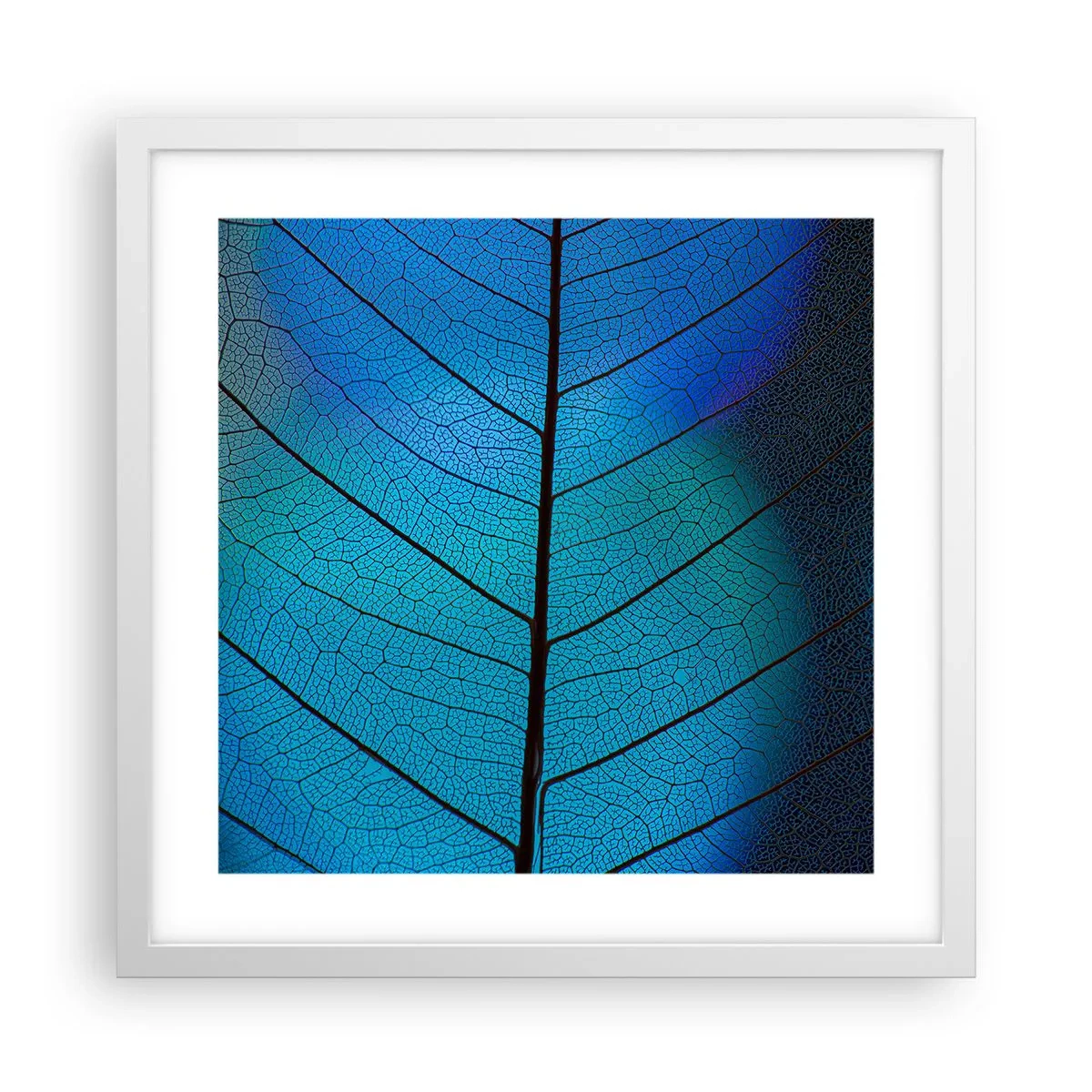 Plagát v bielom ráme - Až do detailov - 40x40 cm