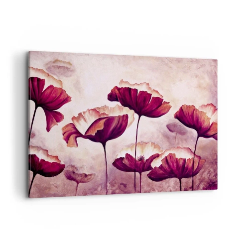 Obraz na plátne - Červený a biely plátok - 100x70 cm