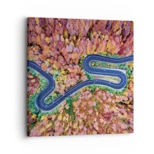 Obraz na plátne - Kľukatá cesta lesom - 30x30 cm
