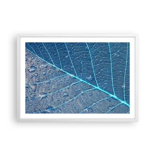 Plagát v bielom ráme - Modrý život - 70x50 cm