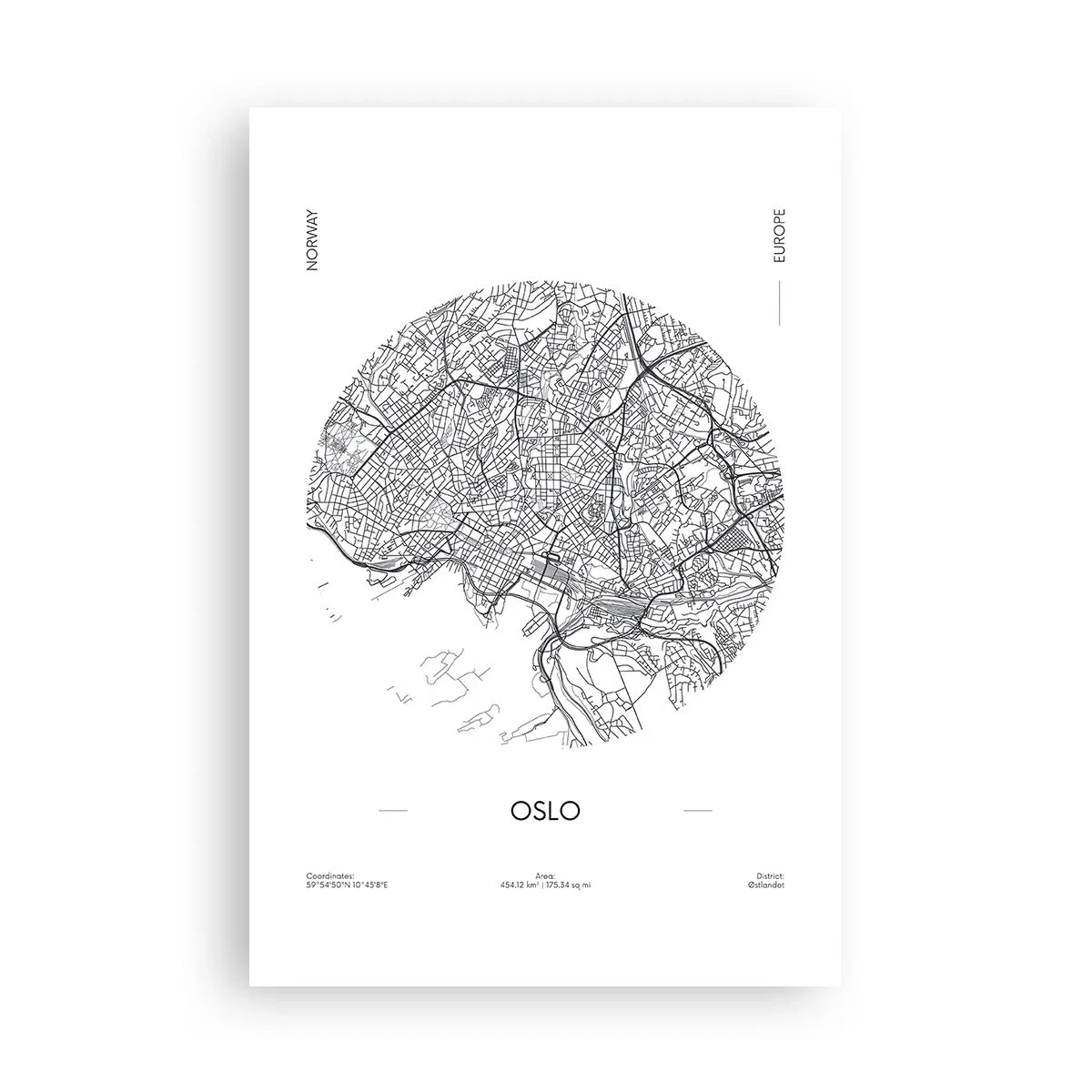 Plagát - Anatómia Osla - 61x91 cm