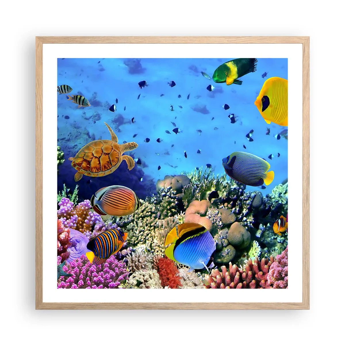 Plagát v ráme zo svetlého duba - Čo vieme o živote… - 60x60 cm